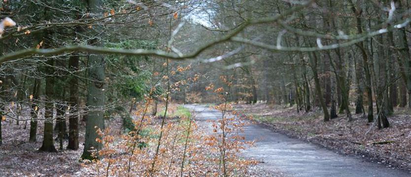 Szansa na poznanie regionu. Blue Velo z nowymi odcinkami