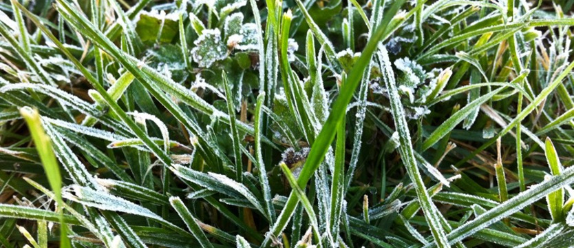 Ostrzeżenie meteorologiczne. W nocy możliwe przymrozki w Zachodniopomorskiem