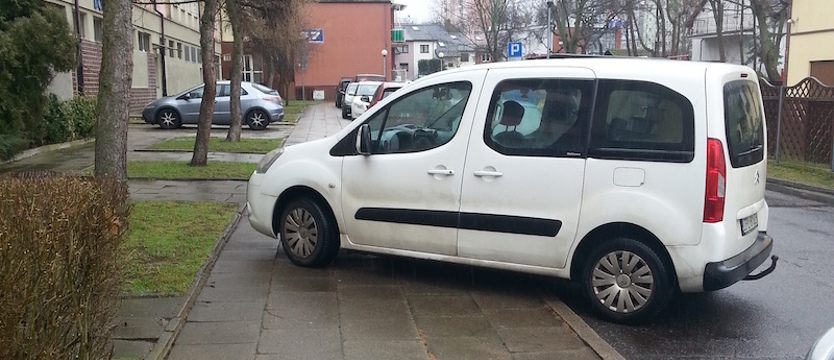 Z cyklu: "Mistrz parkowania"