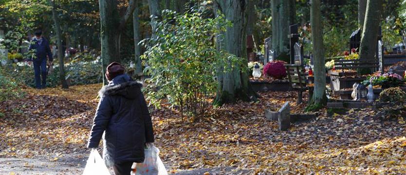 Z pomocą starszym mieszkańcom Szczecina. Wolontariusze posprzątają nagrobki