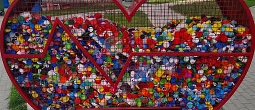 Czas „Serca dla Zwierząt". TOZ: Razem możemy więcej!