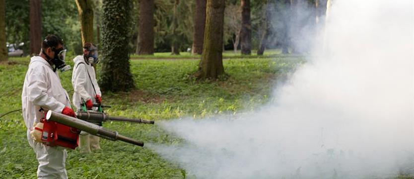 Bij, krwi oszczędź! Komarom śmierć, ale nie innym pożytecznym zapylaczom