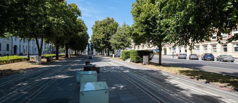 W alei kwiatowej 39 plakatów ze współczesnym przekazem