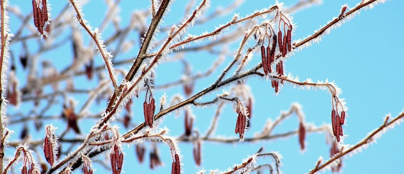 Nadchodzi mroźna noc