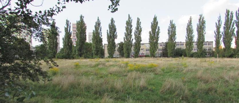 „Kolejarz" wśród zieleni. Niedzielny spacer na Pomorzanach