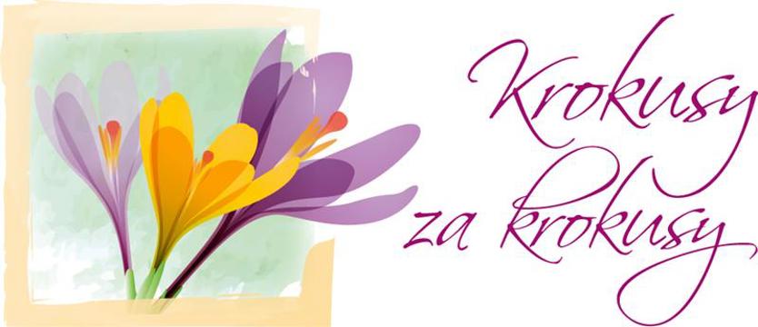 Obiektywy na krokusy!