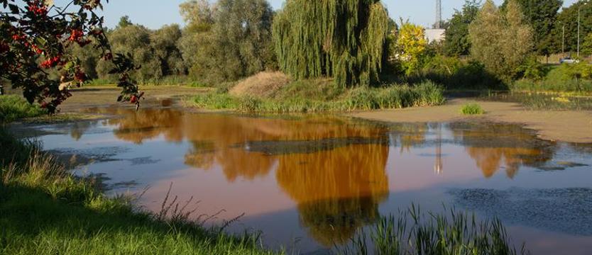 Jaka szansa dla Słonecznego? Zespół ekspertów opracowuje metodę neutralizacji skażenia