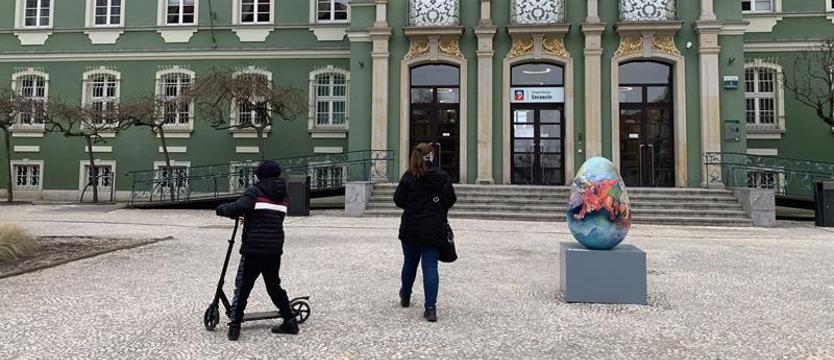 Urzędy w Szczecinie i innych miastach w ścisłym reżimie sanitarnym