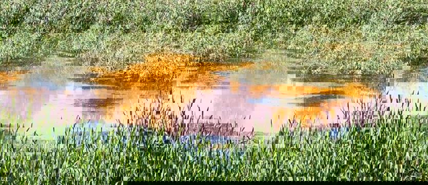 Zanieczyszczenie jeziorka Słonecznego. Jest ostrzeżenie dla mieszkańców