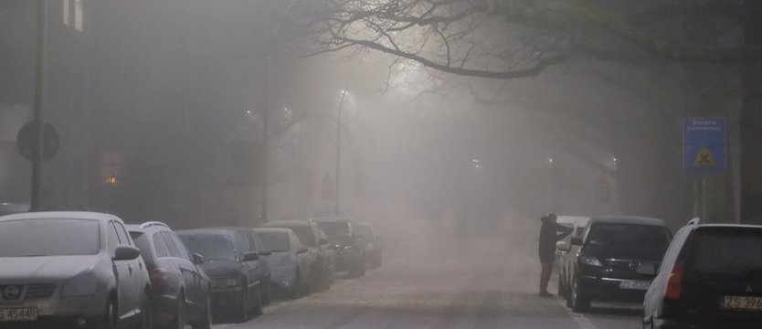 Ostrzegają przed gęstą mgłą w Zachodniopomorskiem. Może być marznąca