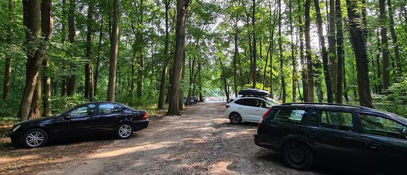 Kiedy przestaną rozjeżdżać parki i zieleńce? Radny: STOP samochodozie w zieleni!