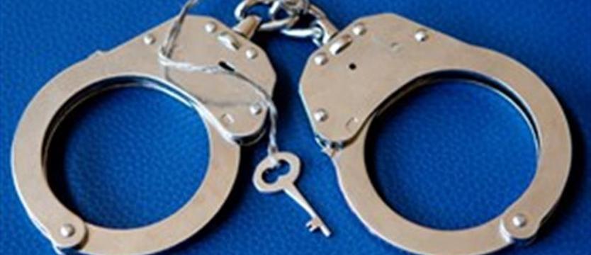 Już był w ogródku... Pięć zarzutów dla włamywacza