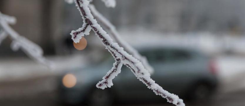 Ostrzeżenie przed przymrozkami w dwie najbliższe noce