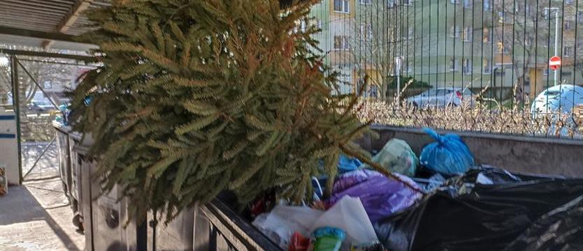 Przedświąteczne porządki