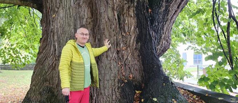 Żywa fabryka tlenu i zielony regulator klimatu. Jedno drzewo za tysiące