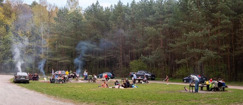 Zanim rozpalisz ognisko. Żeby odpoczynek słono nie kosztował