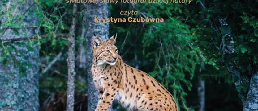 Oto król puszczy. Ryś bohaterem filmu