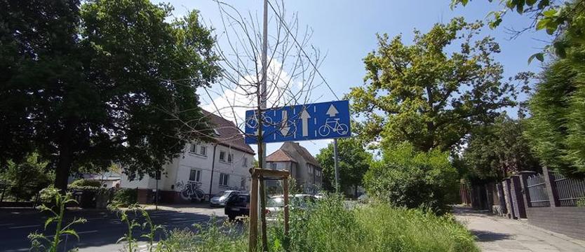 Kto odpowiada za impas przetargu? Zieloni jak trawa