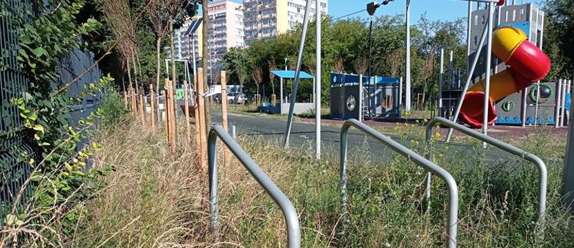 Marzenie (zatopione) w prozie życia. Co poszło nie tak?