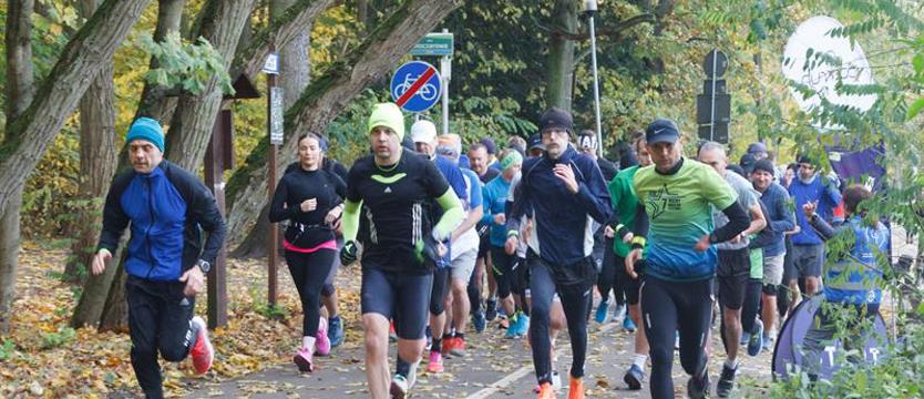 Rekreacja. Biegają w Lasku Arkońskim w każdą sobotę