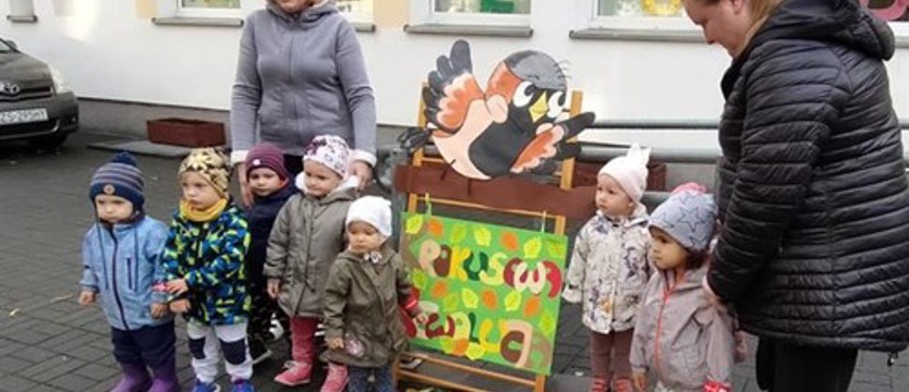 Powrót „Krokusowej rewolucji”. Pod patronatem i przy udziale „Kuriera Szczecińskiego”