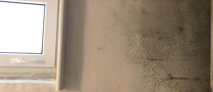 Wilgoć zmorą na Pięknej 