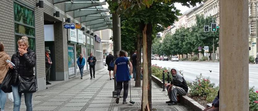 Wandal z maczetą? Radny: „To bandyckie działanie kwalifikowane jako przestępstwo”