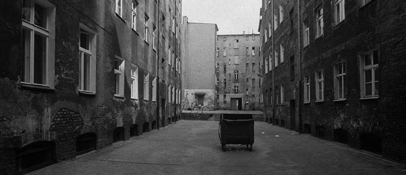 Trzepak i wraki. Śmietnik historii