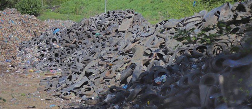 Kropla przyrodniczej statystyki