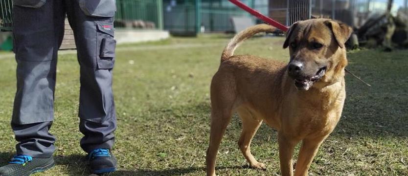 Dawniej zwany Geraltem