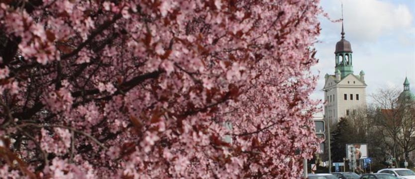 Dziś Joanna Szczepkowska poczyta w Salonie