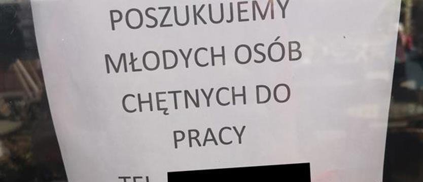 Stawki coraz wyższe, a i tak brakuje rąk do pracy