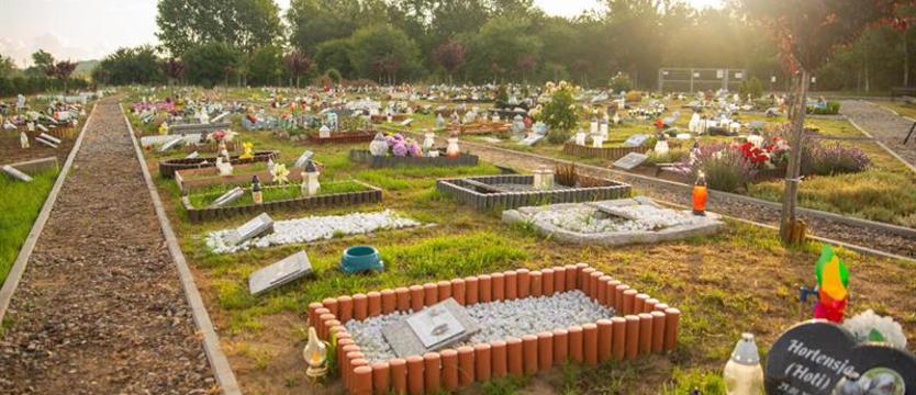 Pierwszy w Świnoujściu cmentarz dla zwierząt. Otwarcie już niebawem