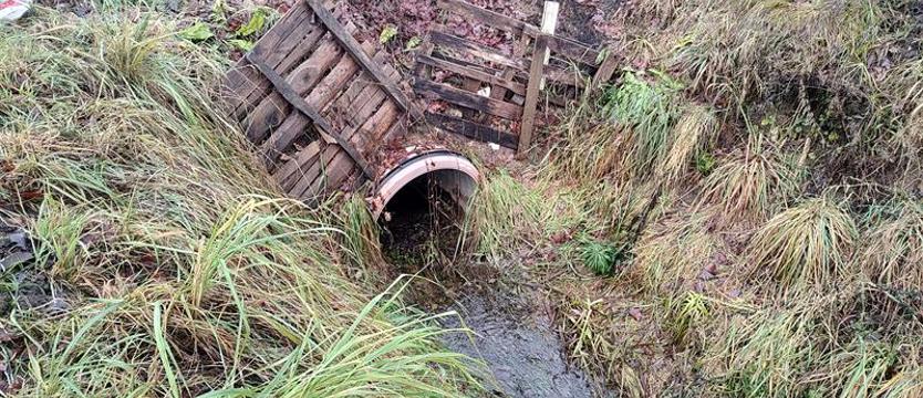 Krzekowo-Bezrzecze. Zatapiane domy – niedrożne przepusty