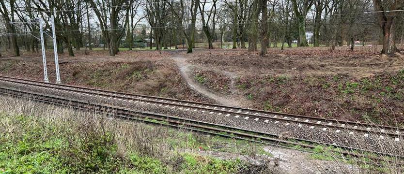 Cywilizowanie „dzikiej ścieżki" przez tory. Będzie kładka nad torowiskiem