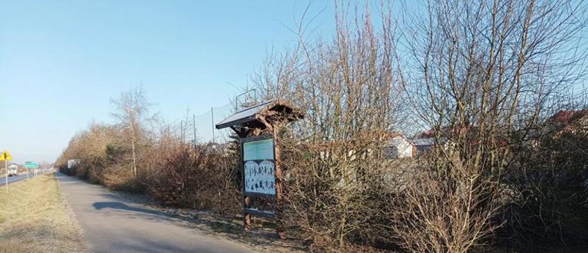 Niezwykłe dzieło Andrzeja Szlawskiego. Ogrody zaopiekują się ścieżką dendrologiczną