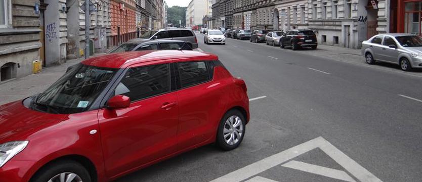 Barwne święto na szarej ulicy. Parada drzew i pozytywne wibracje już w sobotę