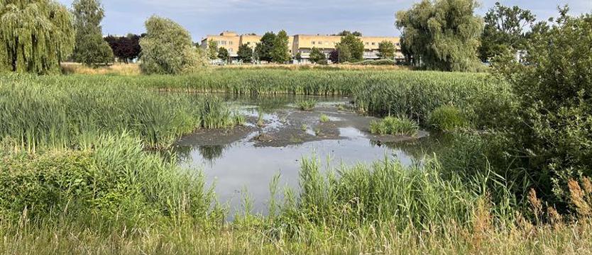 Sobotnie sprzątanie wód i brzegów Jeziora Słonecznego