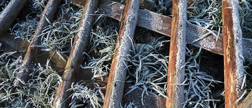 Ostrzeżenie o przymrozkach w całym regionie