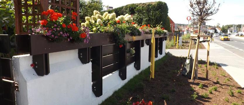 Cały Szczecin w kwiatach. „Chwasty się mnie boją”