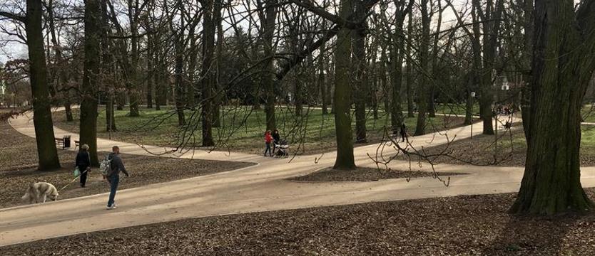 Alejkami parku wielkich drzew