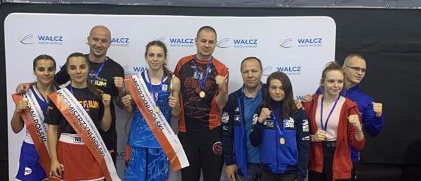 Boks . Skorpion w złocie