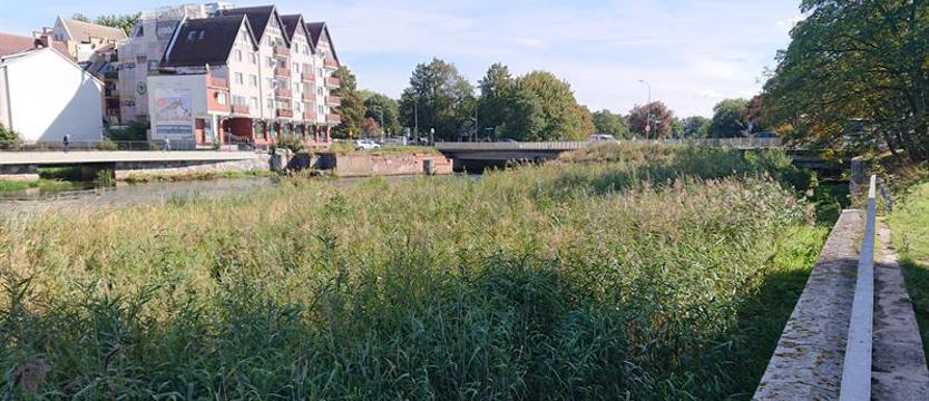 Wody Polskie obiecały usunięcie łachy na Parsęcie