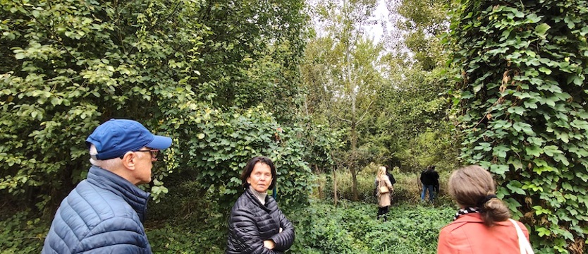 Balans interesów: miasta i jego mieszkańców