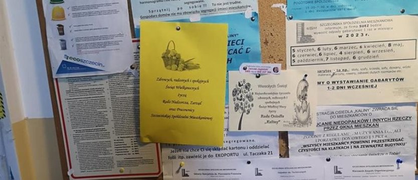 Szesnastu chętnych chciało być prezesem SSM