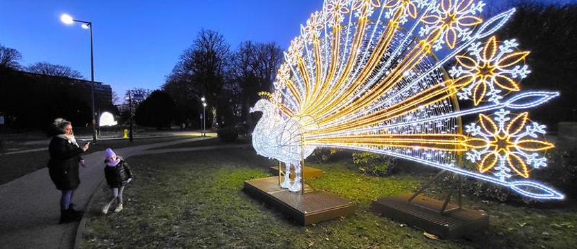 Świąteczne... pawie. W Kołobrzegu trwa dyskusja na temat bożonarodzeniowych ozdób