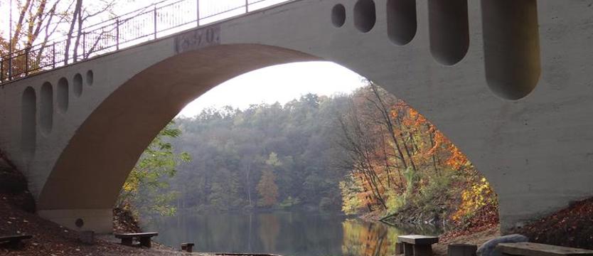 Historia, szmaragd i bukowy liść. Sobota w puszczy
