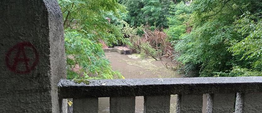 Jaki był dawny Kurzy Młyn? Sobota na spacer historyczny