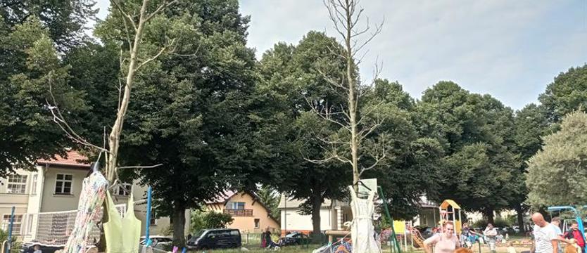 Plac martwych magnolii