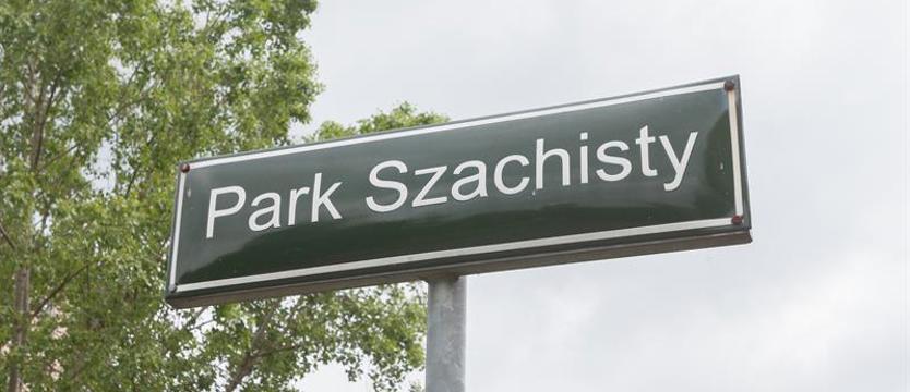 Uroki kina pod chmurką. Robin Hood w parku